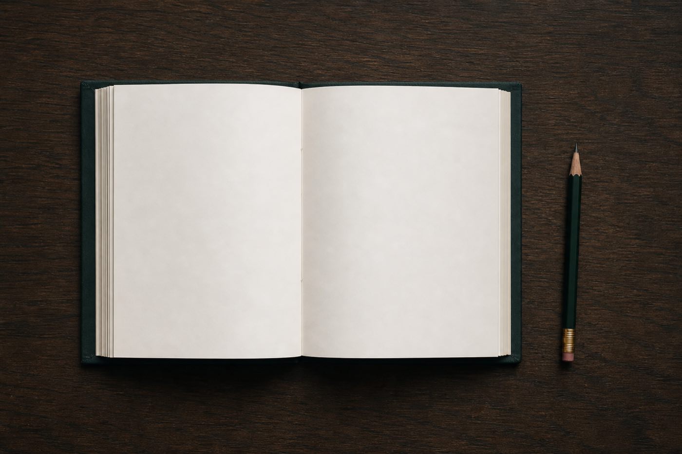 An open unmarked ledger notebook in clear natural light